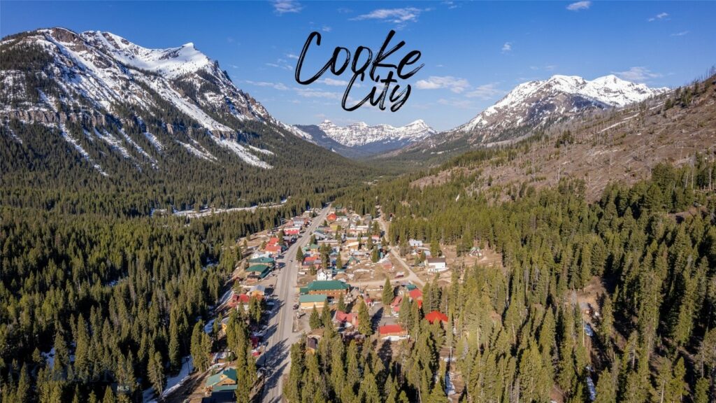 Cooke City MT 59020 - 17