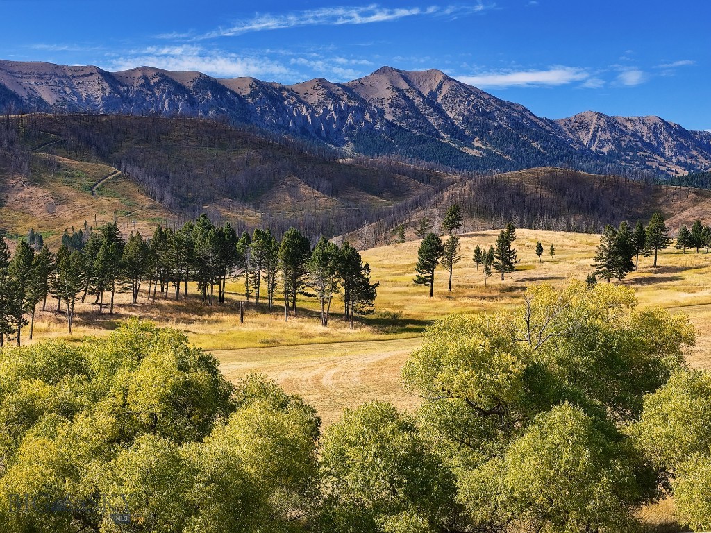 Bozeman MT 59715 - 19