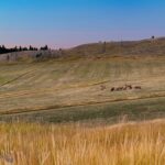 Bozeman MT 59715 - 25