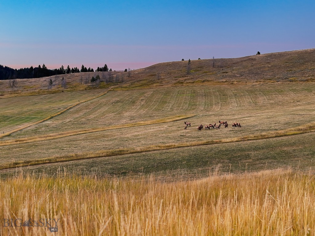 Bozeman MT 59715 - 25