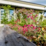 Bozeman MT 59718 - 1