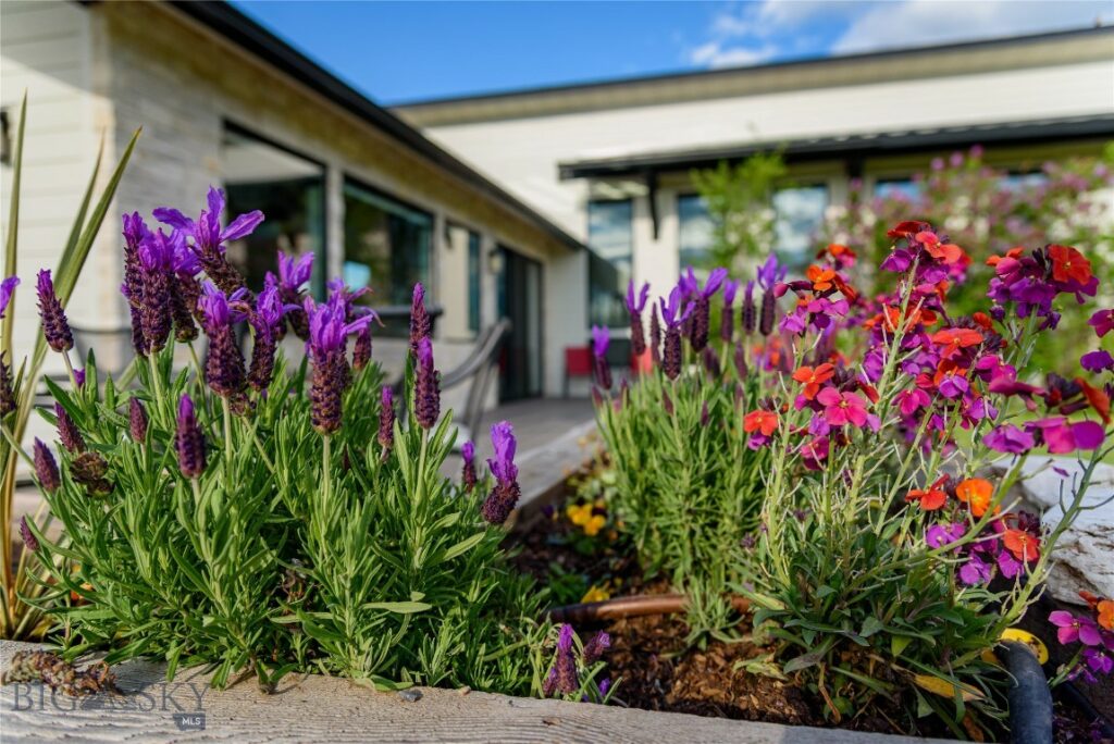 Bozeman MT 59718 - 1