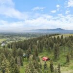 750 Black Bear Road