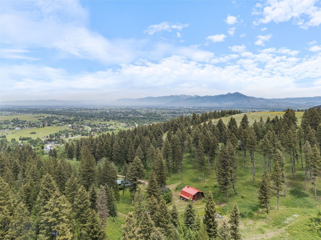 750 Black Bear Road