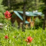 Bozeman MT 59718 - 11