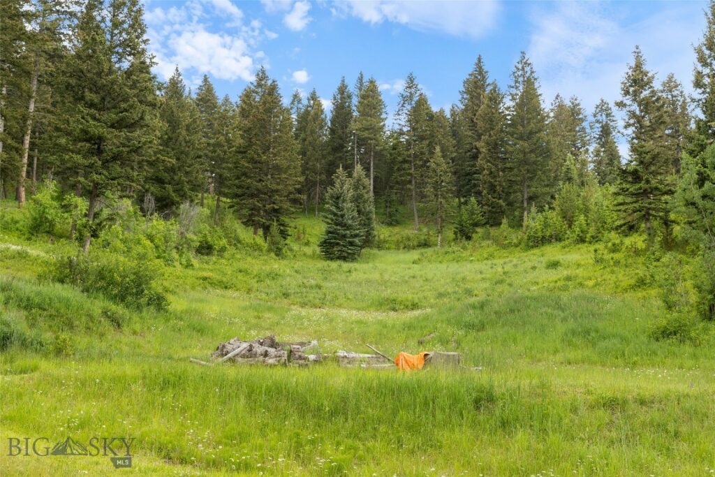 750 Black Bear Road