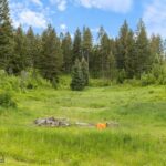 750 Black Bear Road