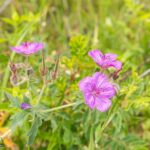 Bozeman MT 59718 - 22