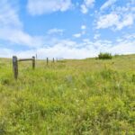 750 Black Bear Road