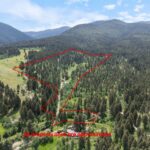 750 Black Bear Road