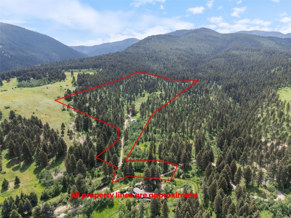 750 Black Bear Road