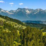 Bozeman MT 59715 - 9