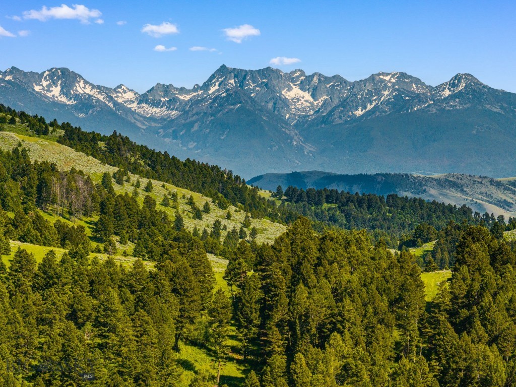 Bozeman MT 59715 - 9