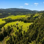 755 Coffee Creek Road