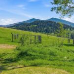 Bozeman MT 59715 - 16