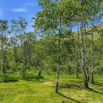 761 Sunny Bear Road