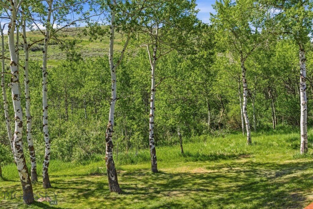 Bozeman MT 59715 - 17