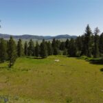 770 Mountain Moose Road