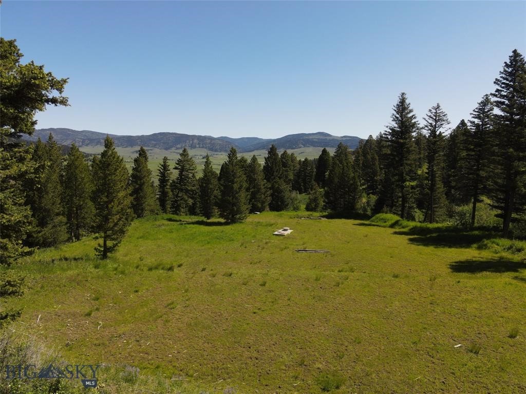 770 Mountain Moose Road