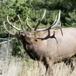 Bozeman MT 59715 - 7