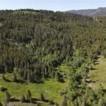 770 Mountain Moose Road