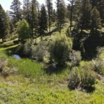 Bozeman MT 59715 - 11