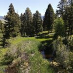 770 Mountain Moose Road