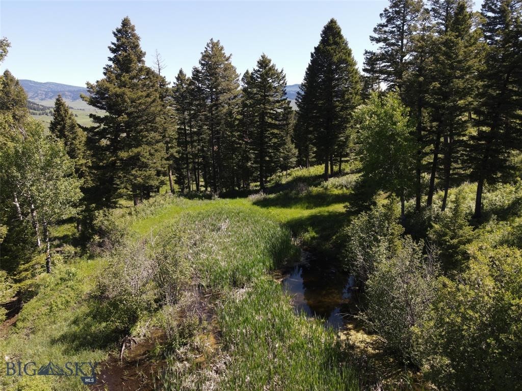 770 Mountain Moose Road