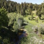 Bozeman MT 59715 - 14