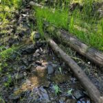 Bozeman MT 59715 - 15