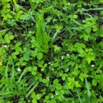 770 Mountain Moose Road