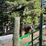 Bozeman MT 59715 - 16