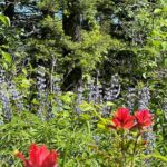 Bozeman MT 59715 - 17