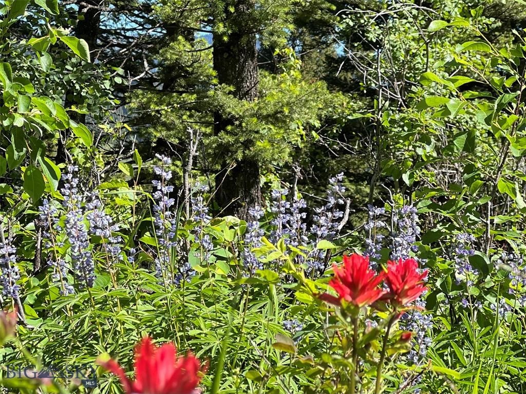 Bozeman MT 59715 - 17