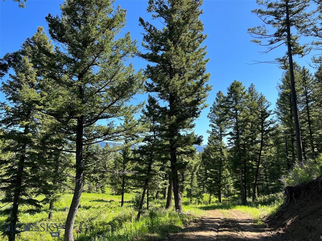 Bozeman MT 59715 - 18