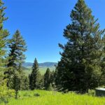 770 Mountain Moose Road