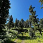 Bozeman MT 59715 - 19