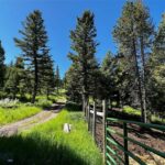 770 Mountain Moose Road