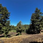 Bozeman MT 59715 - 20