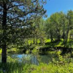 Bozeman MT 59715 - 22