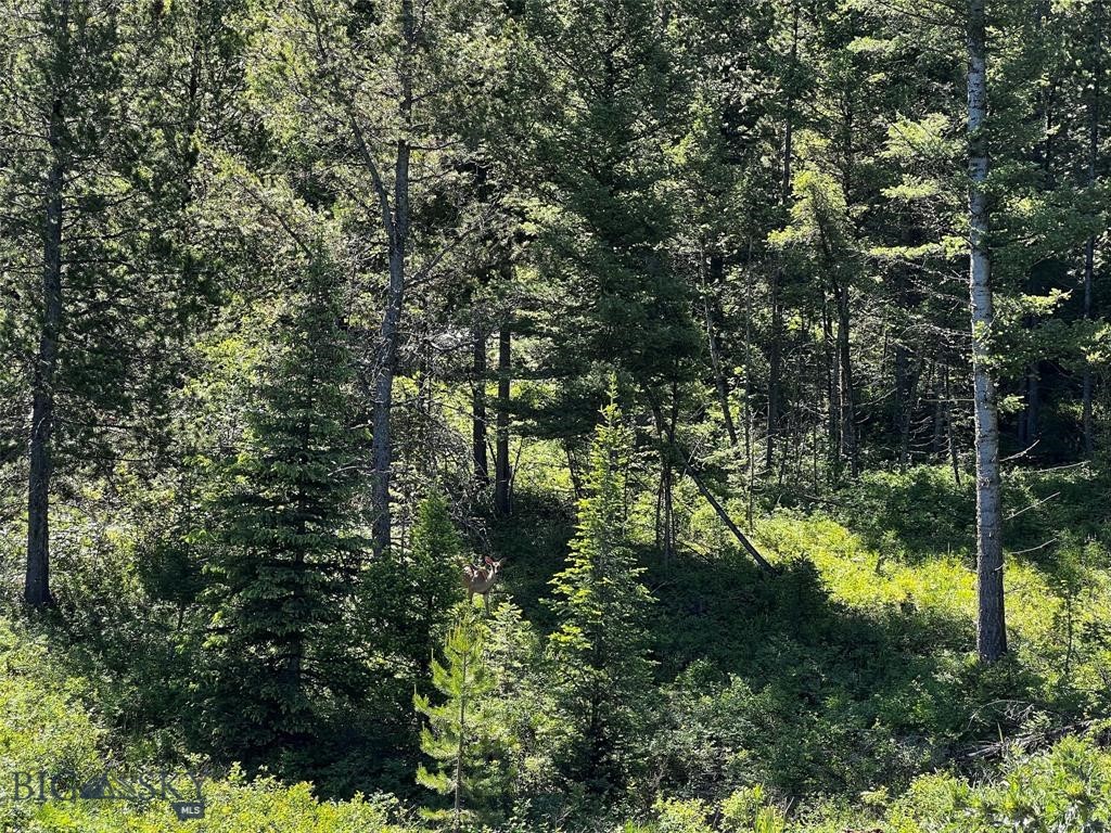 770 Mountain Moose Road