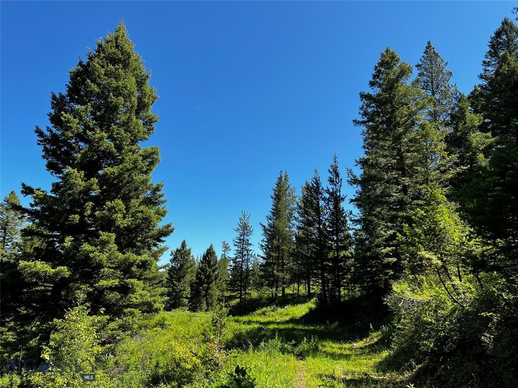 Bozeman MT 59715 - 23