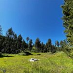 770 Mountain Moose Road