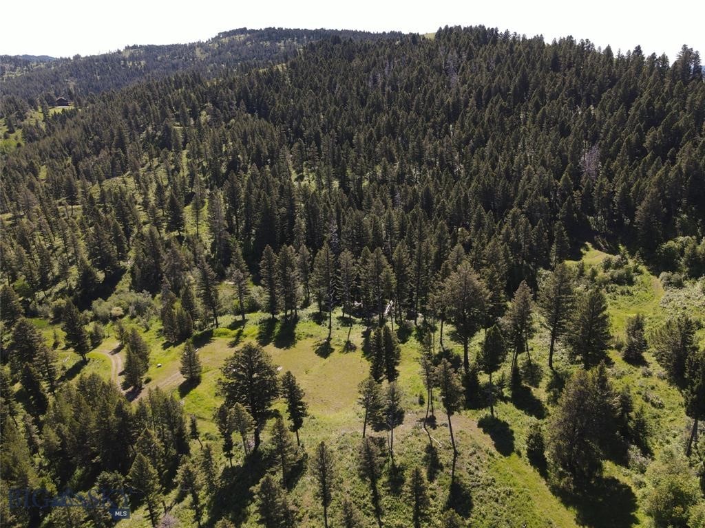 Bozeman MT 59715 - 25