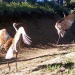 Bozeman MT 59715 - 4