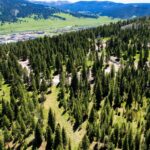 775 Colters Run Loop