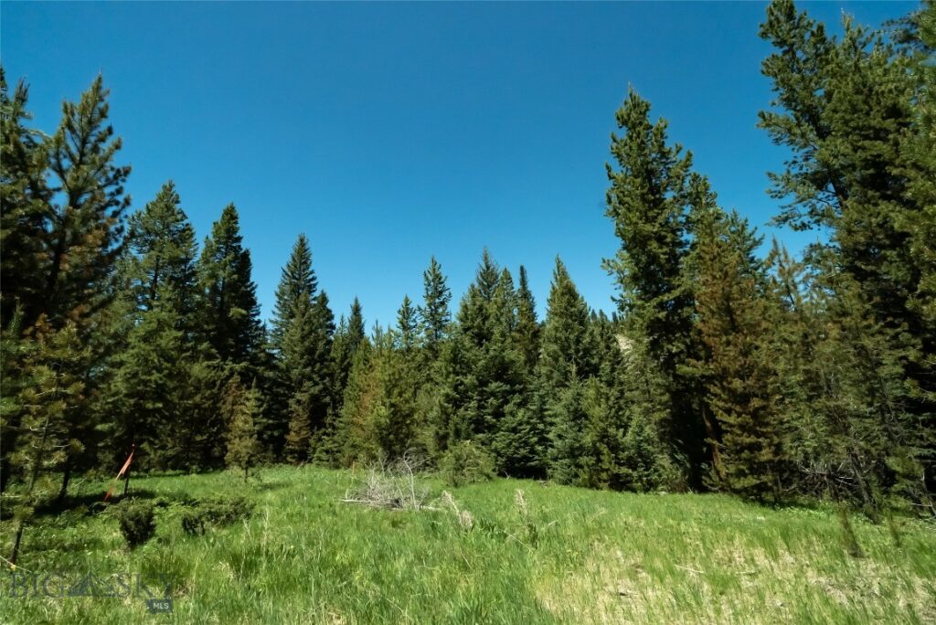 Big Sky MT 59730 - 6