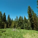 Big Sky MT 59730 - 6