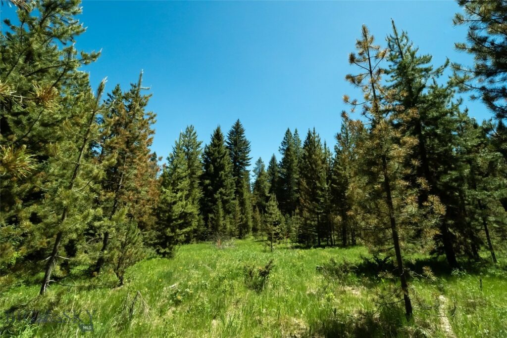 775 Colters Run Loop