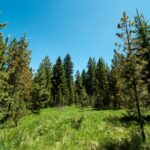 775 Colters Run Loop